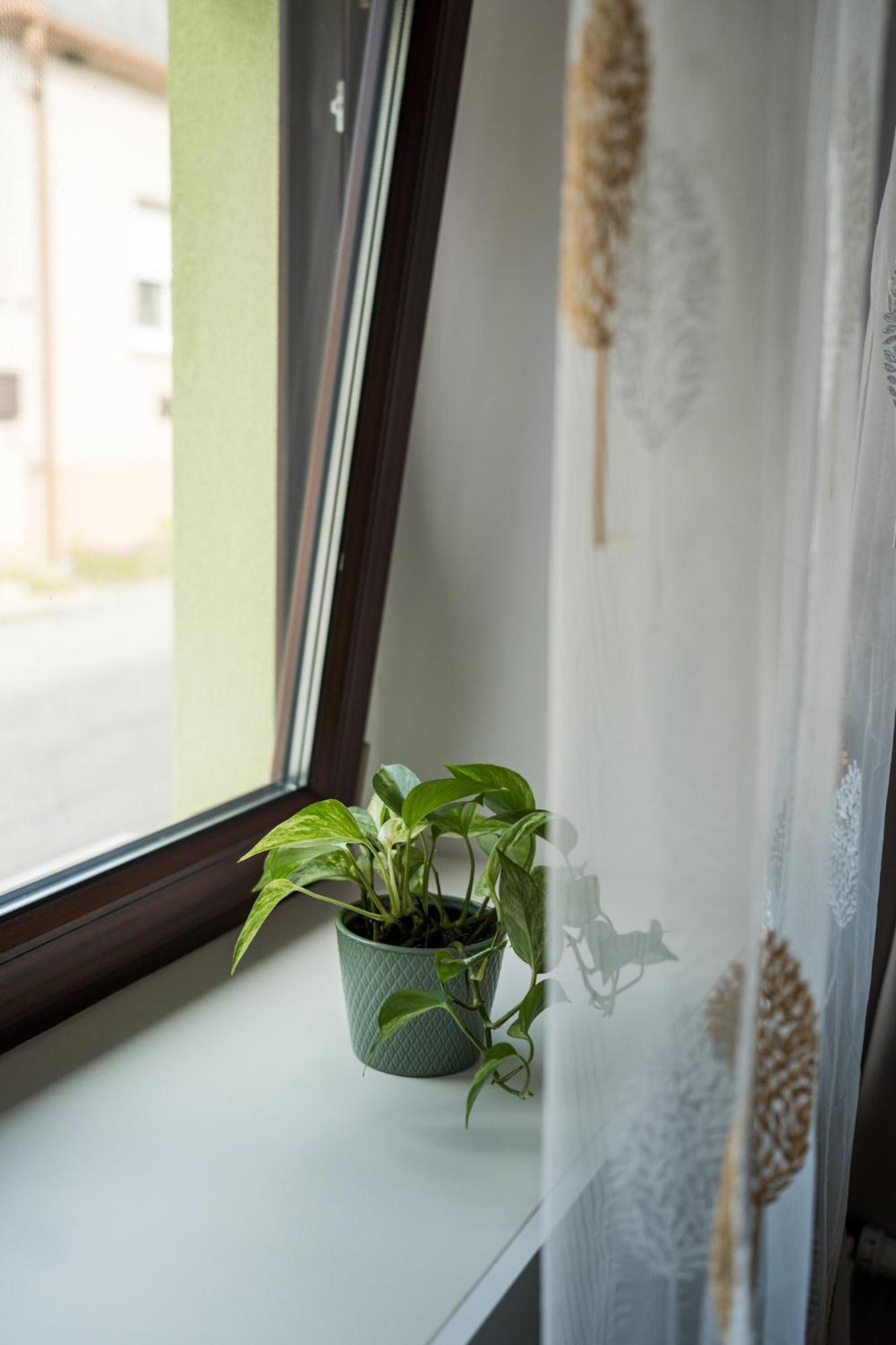 Apartmán Csipesz_Vendeghaz Sümeg Exteriér fotografie